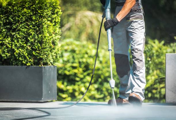 Best Soft Washing  in Santa Ana, CA
