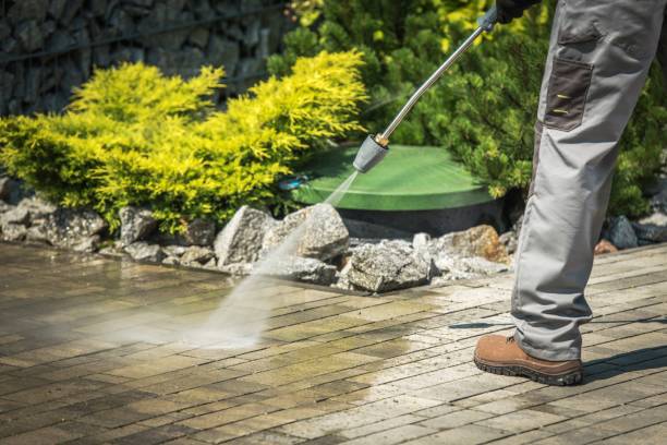 Best Roof Washing  in Santa Ana, CA