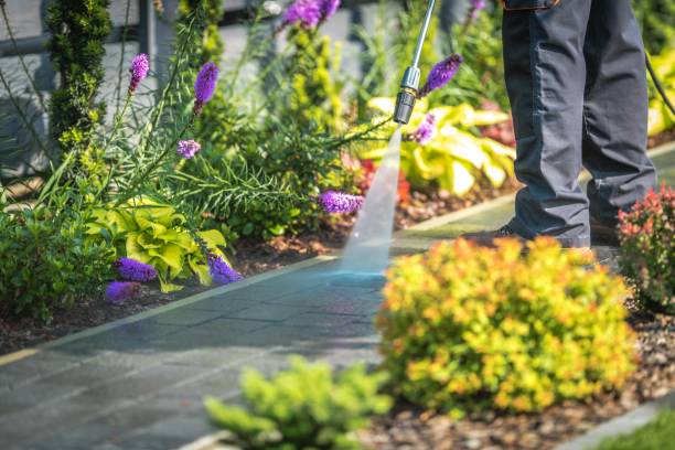Best Restaurant Pressure Washing  in Santa Ana, CA